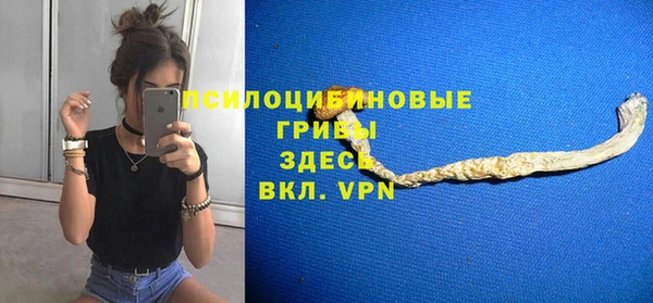 сатива Бородино